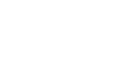 Daily's Workshop custom